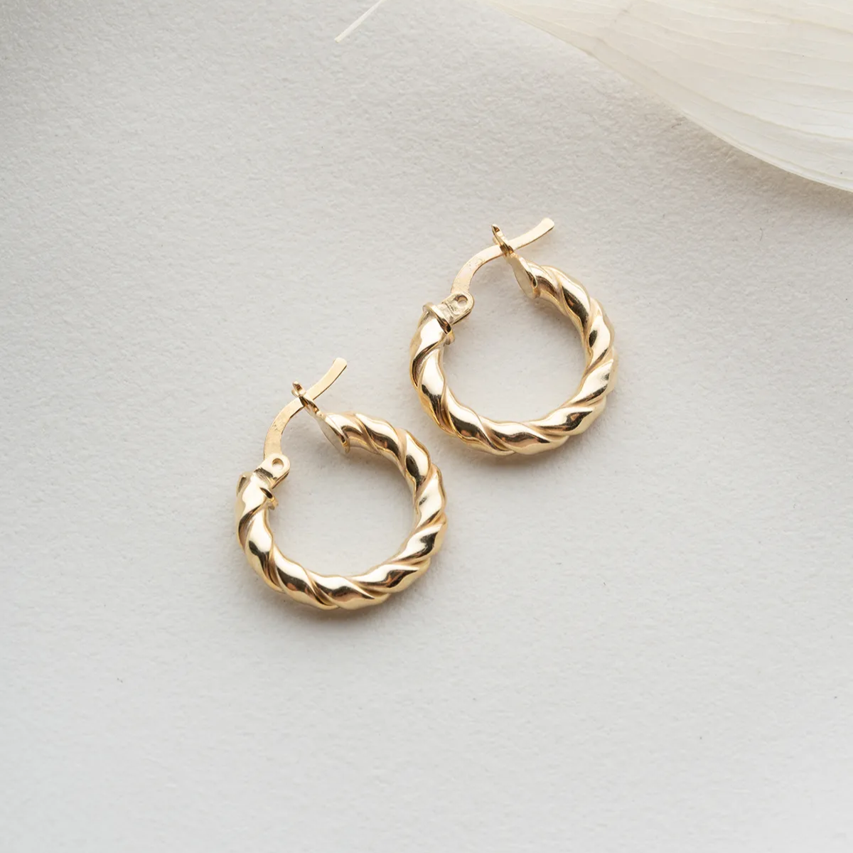 Twisted Hoop Earrings