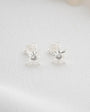 925 sterling silver tiny polar star ciped earrings